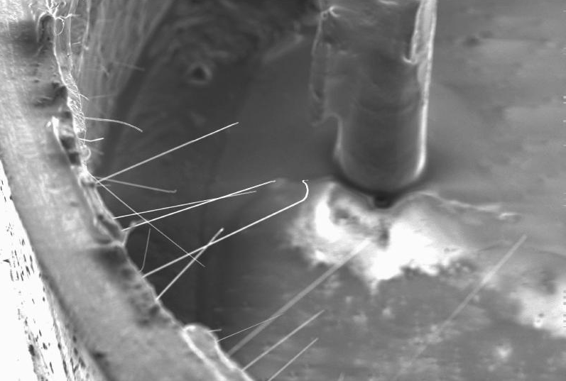 Tin whiskers growing from inside walls of tin-plated transistor. Photo courtesy of NASA