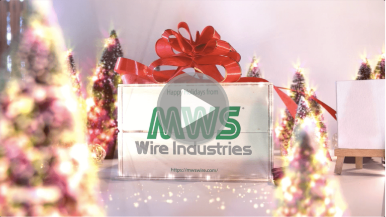 MWS Happy Holidays 2020