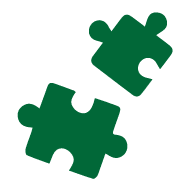 core value icon diversity green