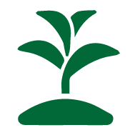 environmentally friendly icon